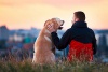 Man and dog overlooking the city on a hilltop