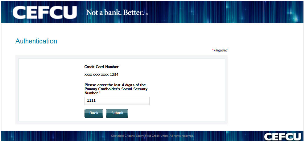 Screen shot of Credit Card Authentication Page.
